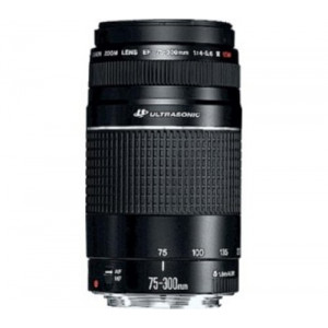 Canon EF 75300 III f45.6 USM Objektiv 6472 A012-21